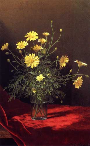 Painting Code#6078-Martin Johnson Heade - Golden Marguerites