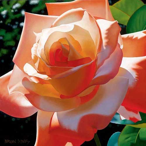 Painting Code#6194-Brian Davis - Orange Radiance