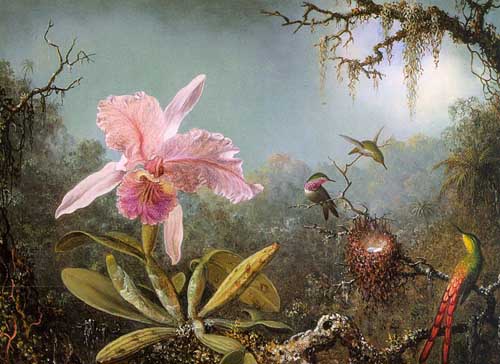 Painting Code#6203-Martin Johnson Heade:Brazilian Cattleya And Humming Bird
 
