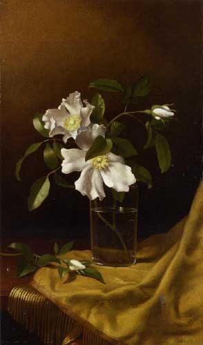 Painting Code#6214-Martin Johnson Heade - Cherokee Roses in a Glass on Gold Velvet Plush