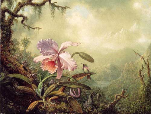 Painting Code#6221-Martin Johnson Heade - Heliodore's Woodstar and a Pink Orchid