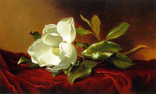 Painting Code#6248-Martin Johnson Heade:Magnolia on Red Velvet