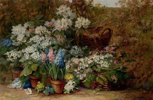 Painting Code#6380-Edmond Van Coppenolle - Still Life With Potted Plants in A Nursery