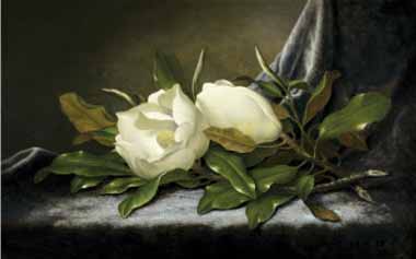 Painting Code#6396-Martin Johnson Heade - Giant Magnolias on a Light Blue Velvet Cloth