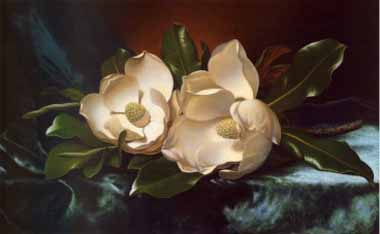 Painting Code#6398-Martin Johnson Heade - Magnolias on a Blue Velvet Cloth
