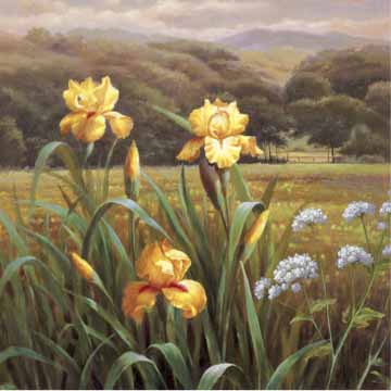 Painting Code#6560-Phillip Gustave - Queen Anne's Lace