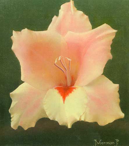 Painting Code#6673-Jan Voerman, Jr.: Gladioli
